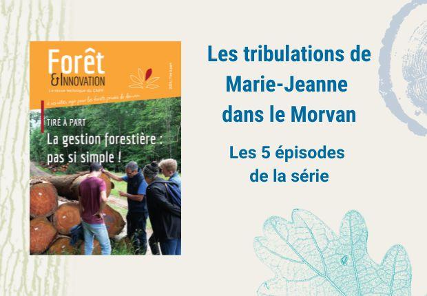 La gestion forestière : pas si simple !