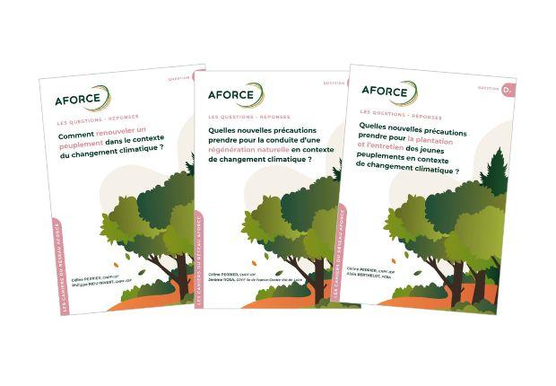 Cahiers Questions Réponses AFORCE