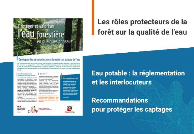 Protéger et valoriser l'eau forestière en quelques conseils