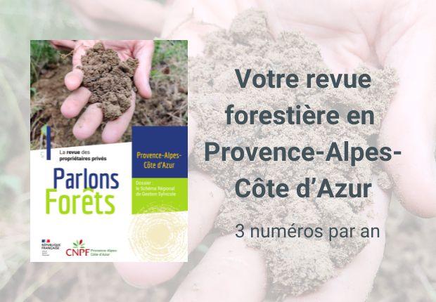 Parlons forêts en Provence-Alpes-Côte d'Azur n°1