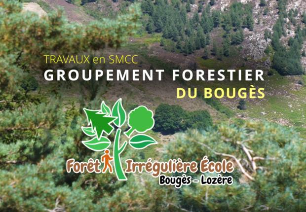  Les travaux en Sylviculture Mélangée à Couvert Continu dans la Forêt Irrégulière Ecole du Bougès