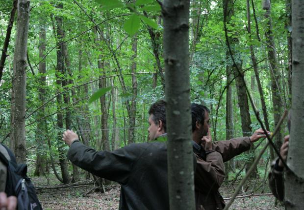 Diagnostic de peuplement en sylviculture irrégulière Photo Michel Bartoli © Photothèque CNPF Photo Mireille Mouas © Photothèque CNPF
