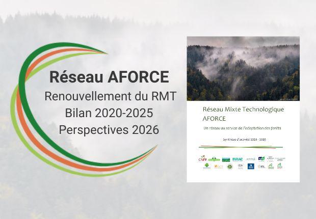 Bilan 2020-2025 et renouvellement du réseau AFORCE