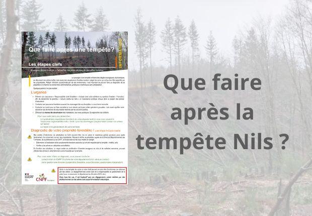 Que faire après la tempête Nils ?