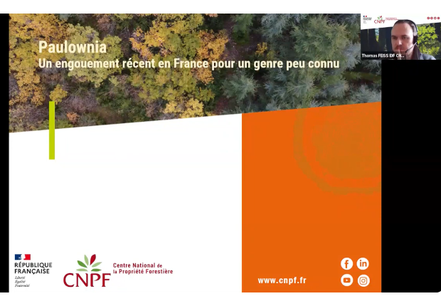Webinaire Paulownia du 19 mars 2026