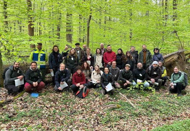 Atelier IBP en avril 2026 - Photo Shanqing Gao © European Forest Institute