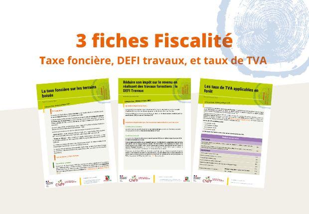 3 fiches sur la fiscalité forestière mises à jour 
