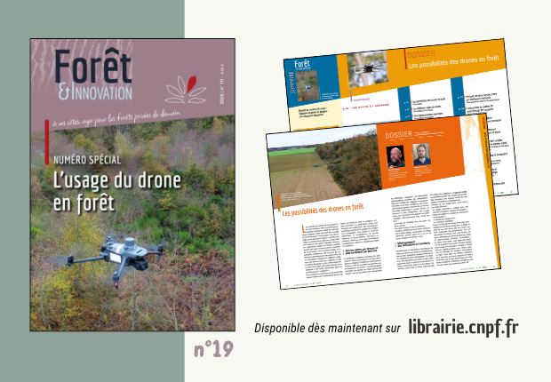 Forêt & Innovation n°19