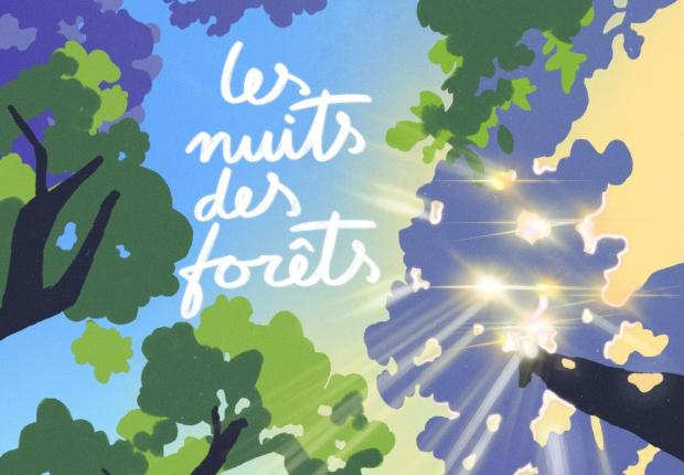 Les nuits des forêts