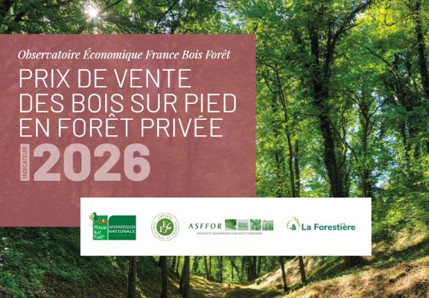Indicateur 2026 des prix de vente des bois sur pied en forêt privée