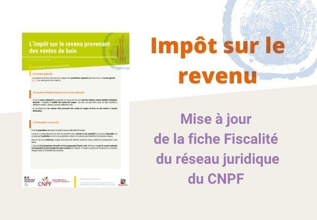 Fiscalité forestière : mise à jour de la fiche sur l'impôt sur le revenu provenant des ventes de bois