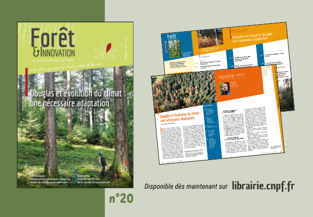 Forêt & Innovation n°20