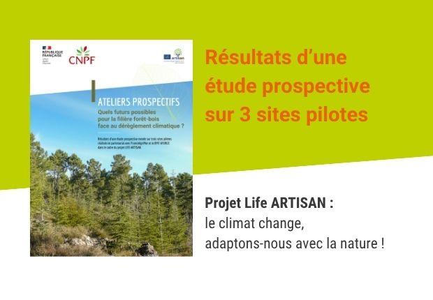 Quels futurs possibles pour la filière forêt-bois face au dérèglement climatique ?