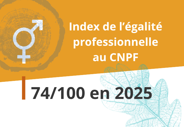 Index de l'égalité professionnelle au CNPF : 74/100 en 2025