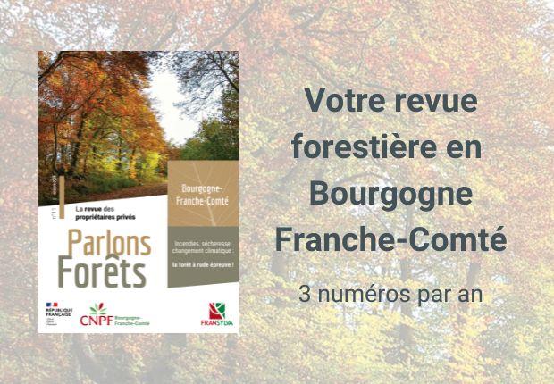 Parlons Forêts en Bourgogne-Franche-Comté n°11