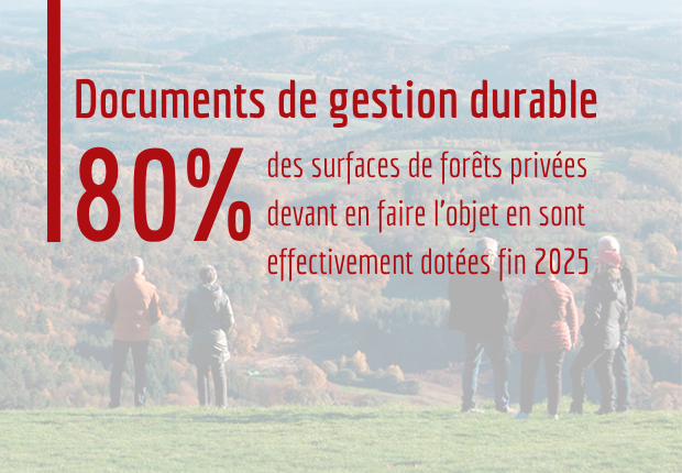 80 % des surfaces devant faire l’objet d’un document de gestion durable en sont effectivement dotées fin 2025
