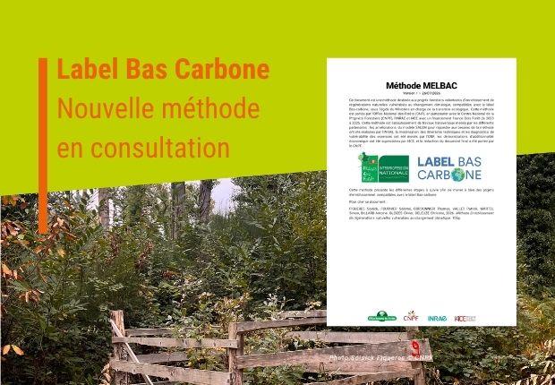 Label bas carbone : nouvelle méthode en consultation