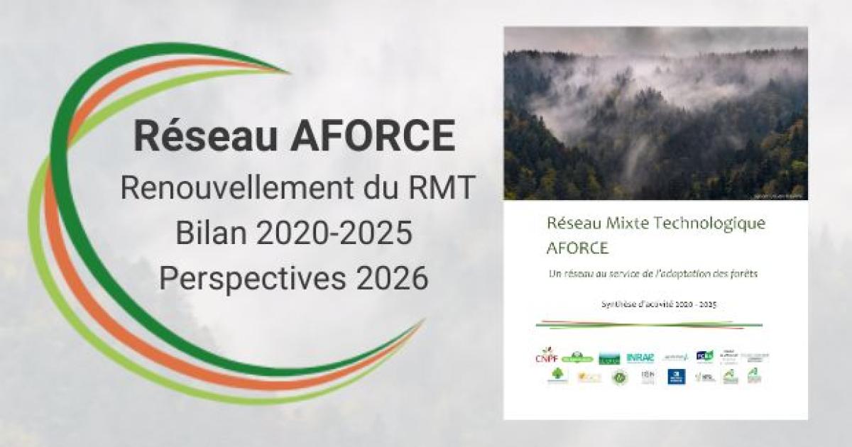 Le réseau AFORCE renouvelé pour 5 ans
