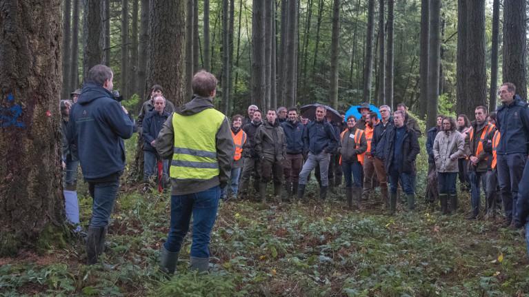 Présentation d'une parcelle de très gros bois - Sylvain Gaudin © CNPF