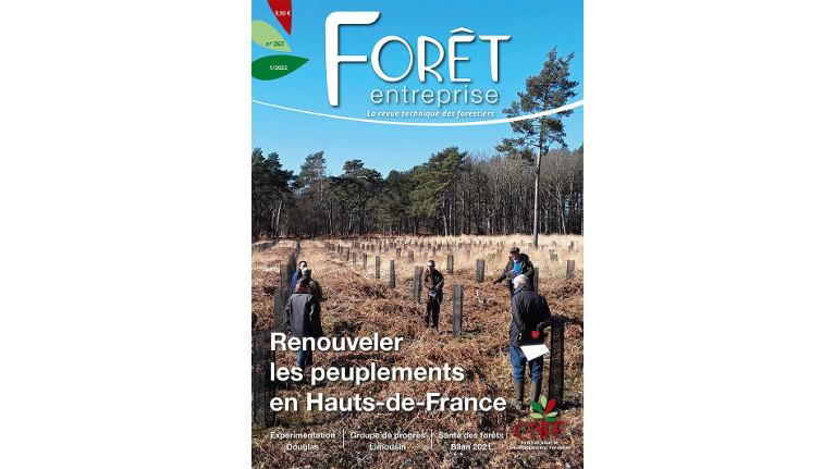 Forêt-entreprise n°262