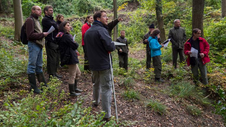 Observation en forêt des critères de l'IBP. Photo Etienne Beraud © CNPF