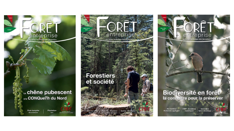 Forêt-entreprise