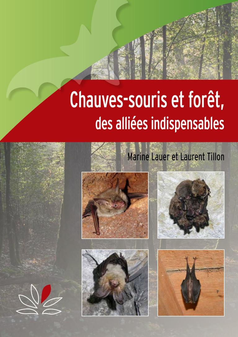 Chauves-souris et forêt, des alliées indispensables