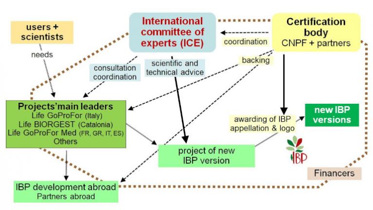 IBP extension process : international organisation