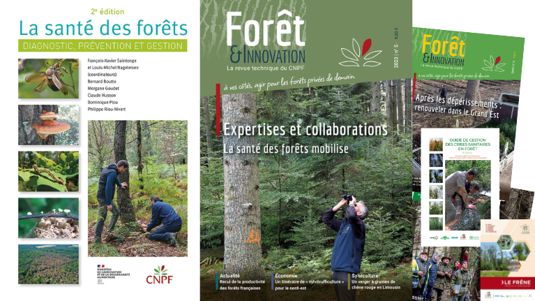 Publications sur la santé des forêts