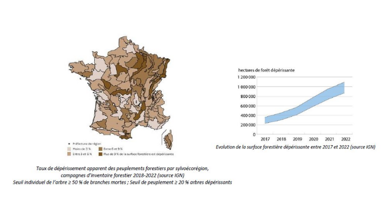 Dépérissement des forêts 2017-2022 (source IGN)