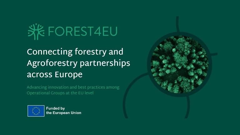 Logo Forest4EU