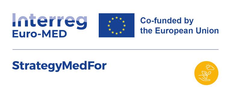 logo StrategyMedFor