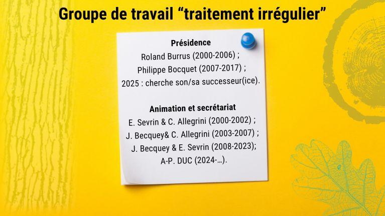 Groupe de travail "traitement irrégulier" de l'IDF
