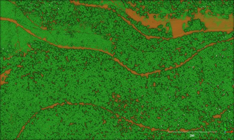 Nuage de points LiDAR vu d'en haut