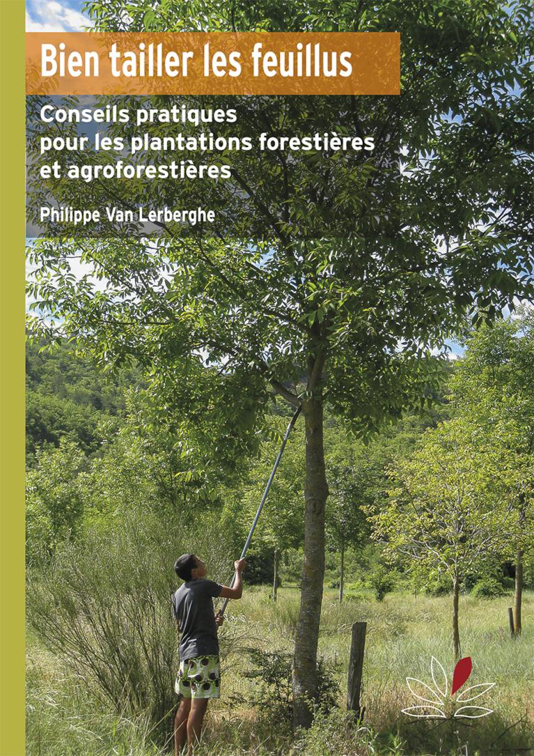 Bien tailler les feuillus
