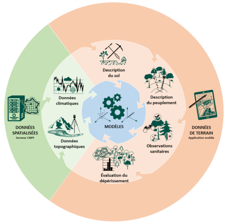 Diagramme du fonctionnement de BioClimSol - Benjamin Cano © CNPF