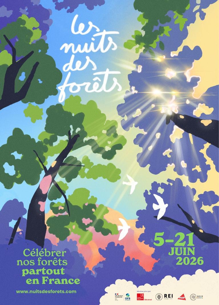 Les nuits des forêts
