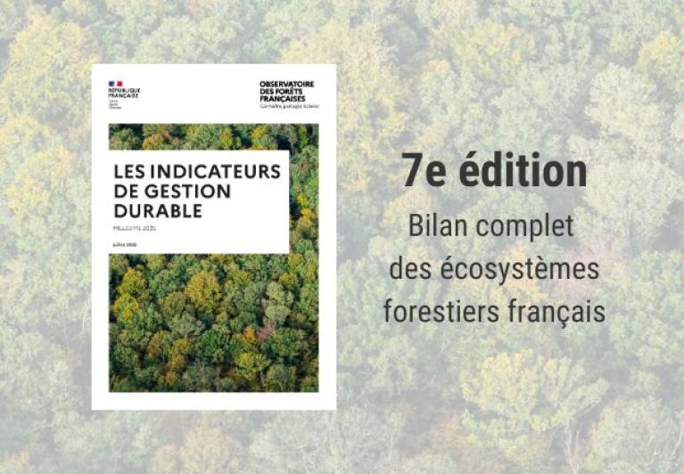 7e édition des indicateurs de gestion durable