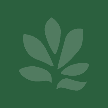 cnpf illustration image