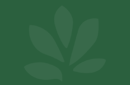 cnpf illustration image